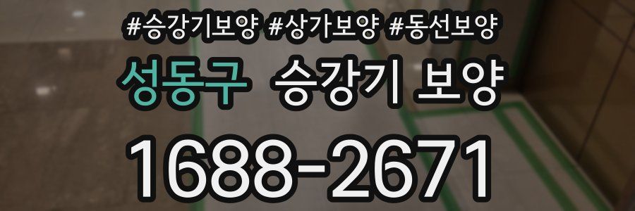 성동구 승강기 보양