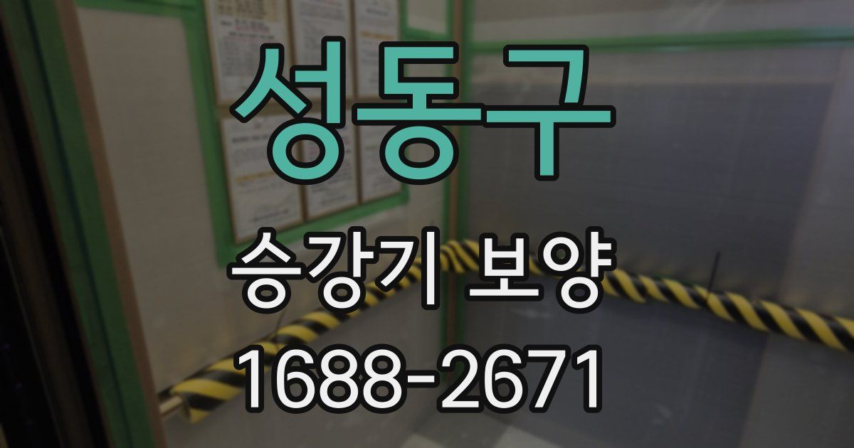 성동구 승강기 보양