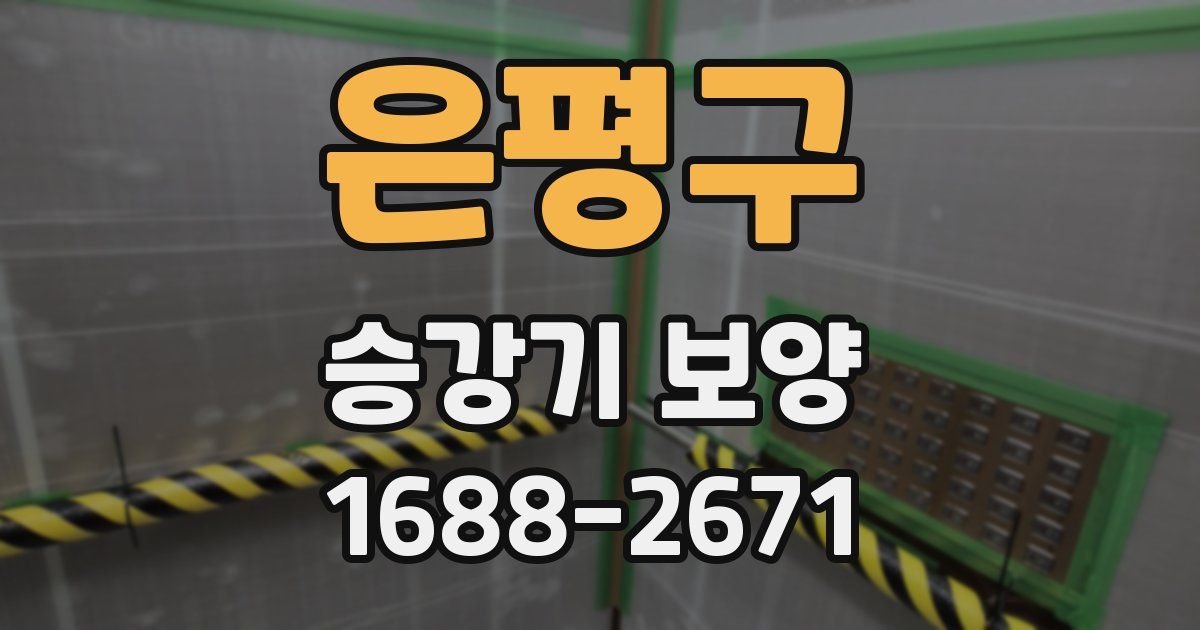은평구 승강기 보양