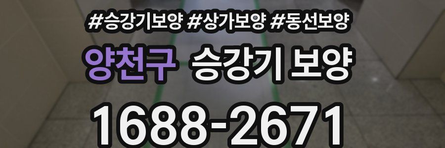 양천구 승강기 보양