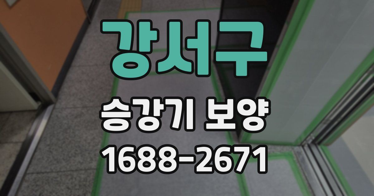 강서구 승강기 보양