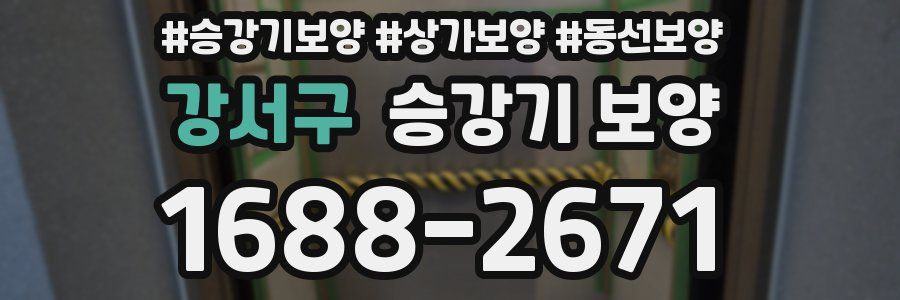 강서구 승강기 보양