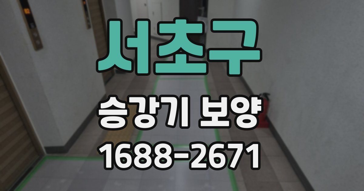 서초구 승강기 보양