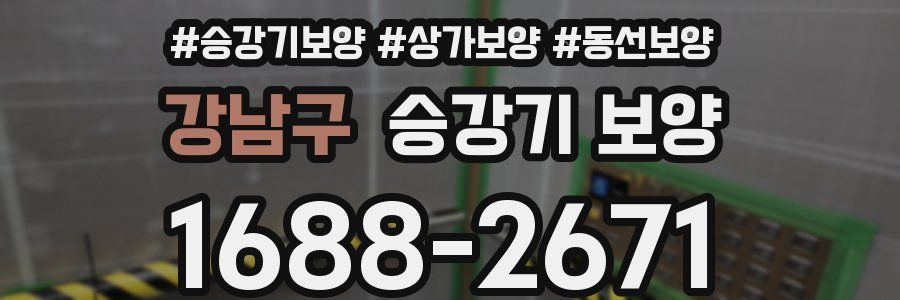 강남구 승강기 보양