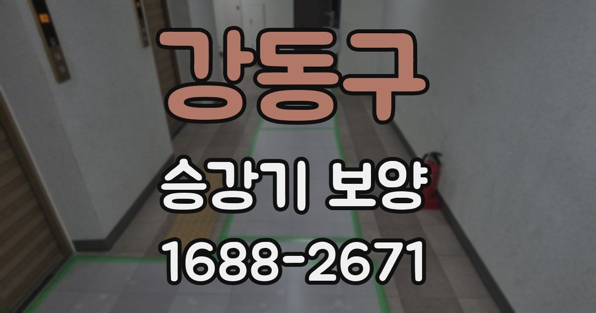 강동구 승강기 보양