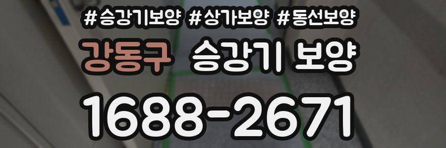 강동구 승강기 보양