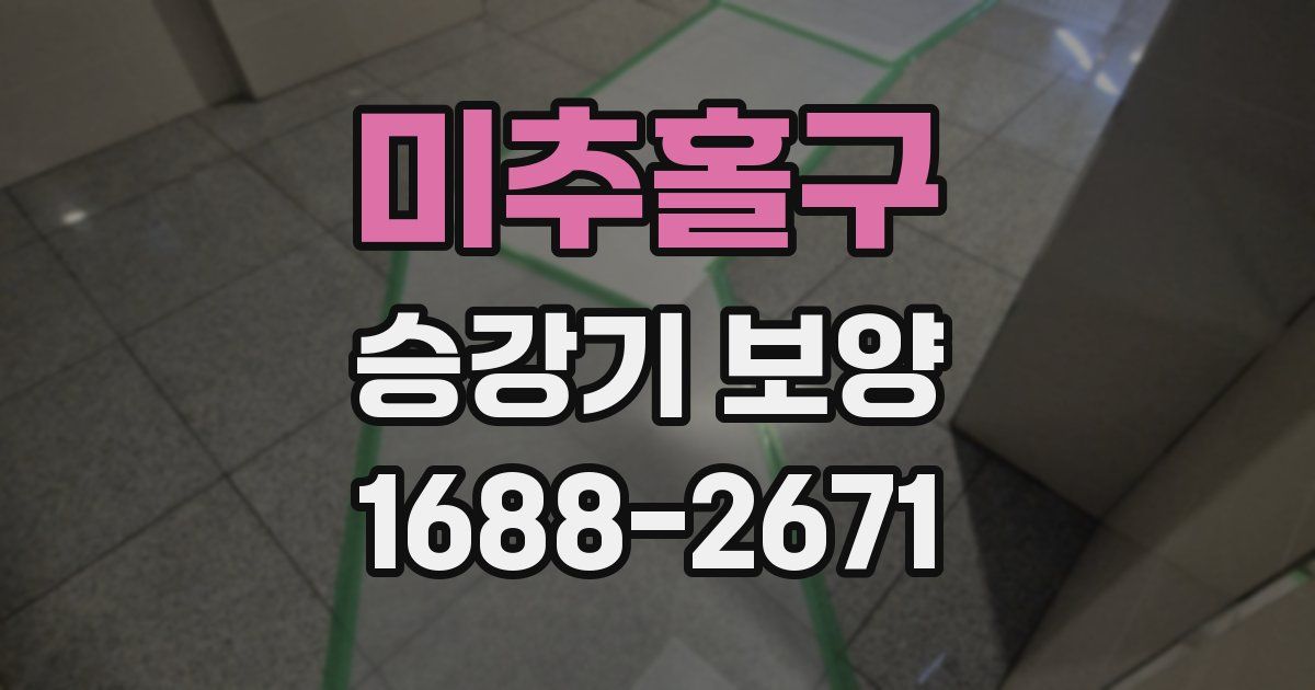 미추홀구 승강기 보양