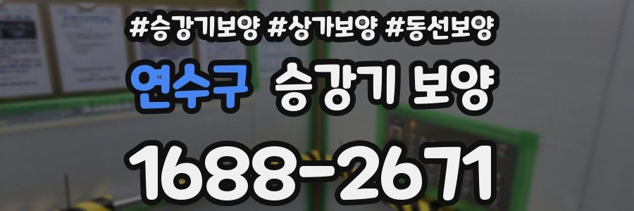 연수구 승강기 보양