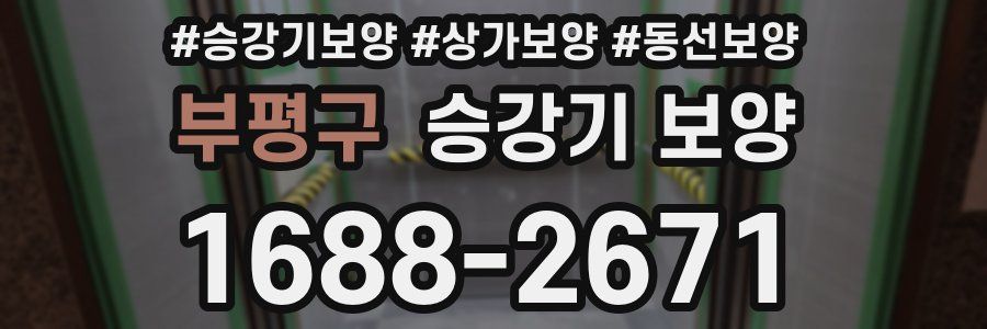 부평구 승강기 보양