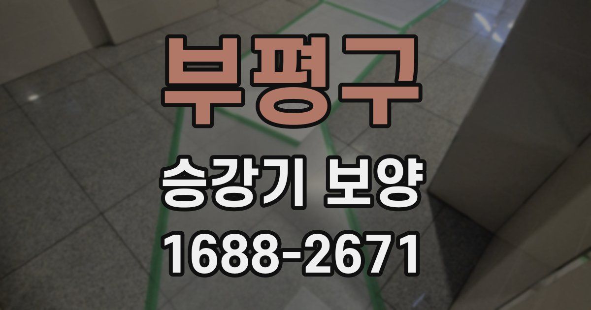 부평구 승강기 보양