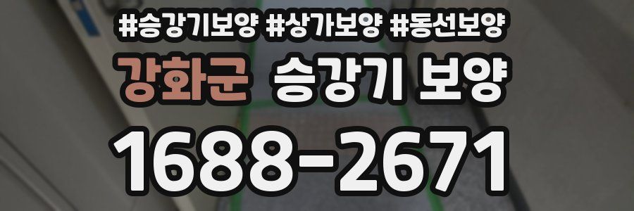 강화군 승강기 보양
