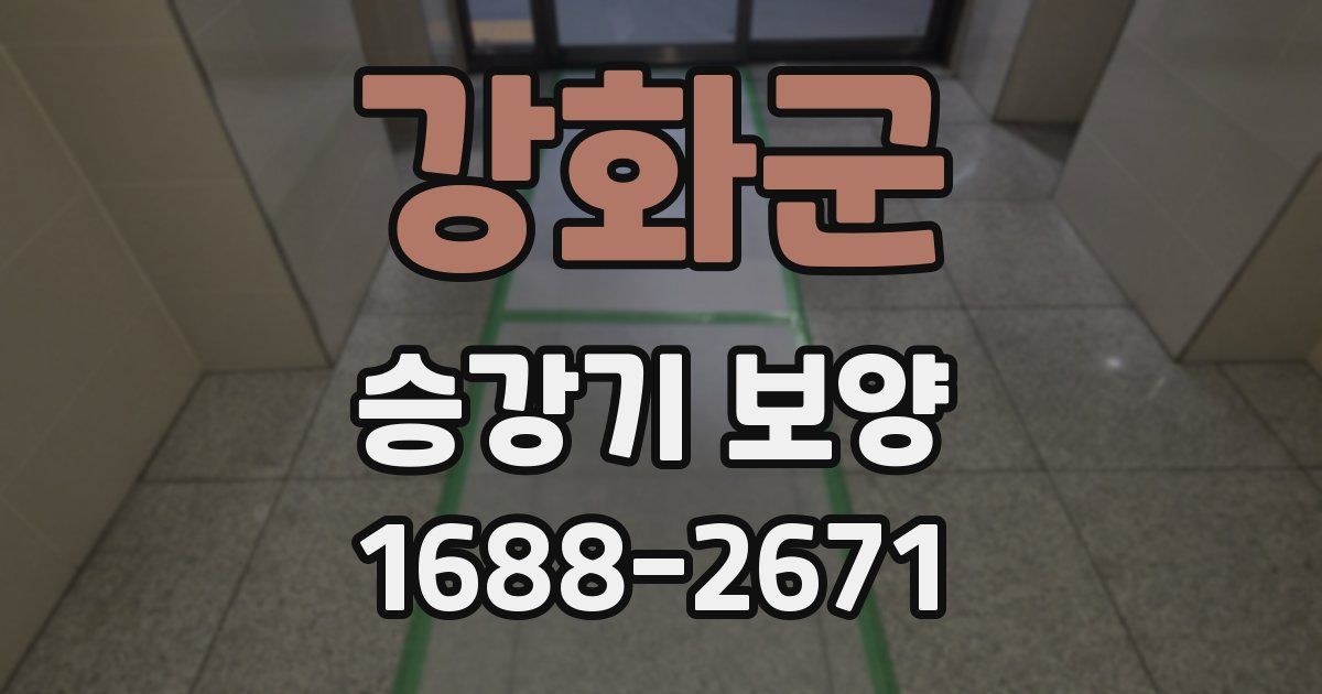 강화군 승강기 보양
