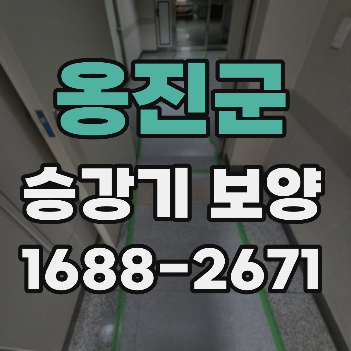옹진군 승강기 보양 자재 선정 기준과 실무 적용
