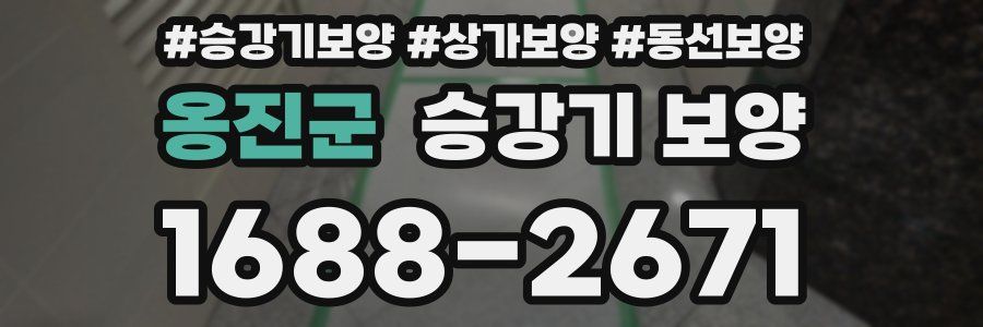 옹진군 승강기 보양