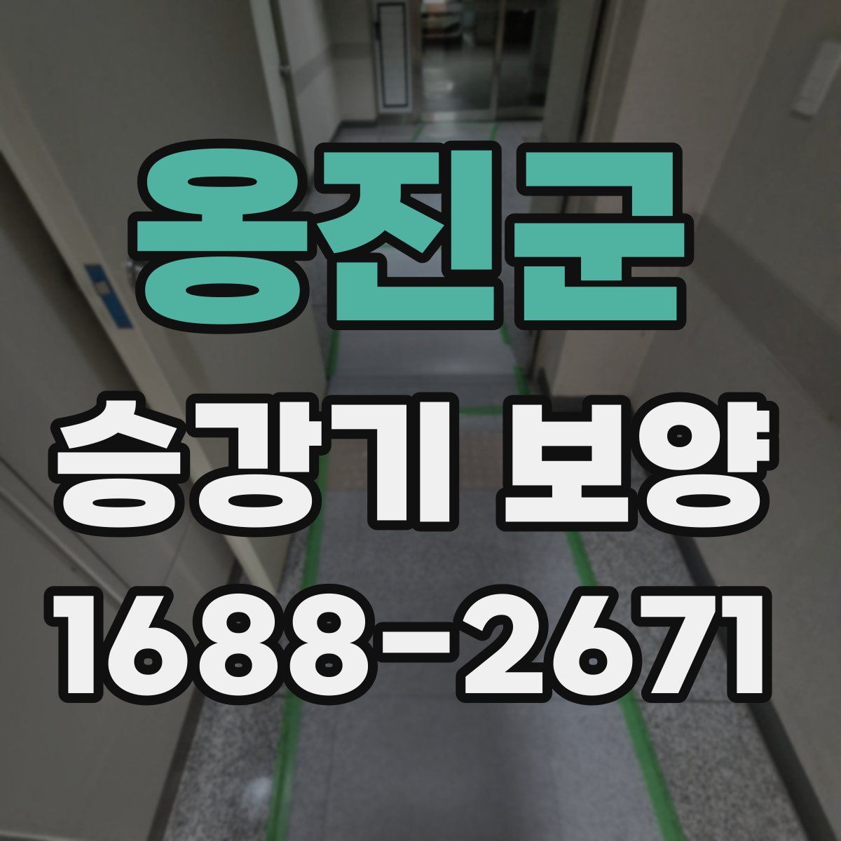 옹진군 승강기 보양