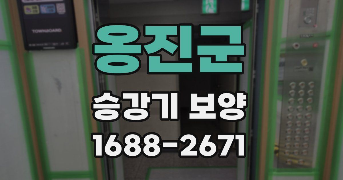옹진군 승강기 보양