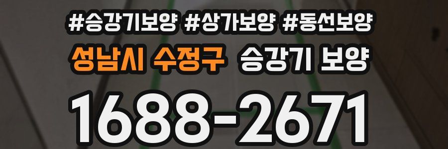 성남시 수정구 승강기 보양