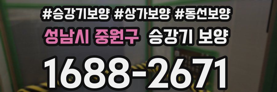 성남시 중원구 승강기 보양