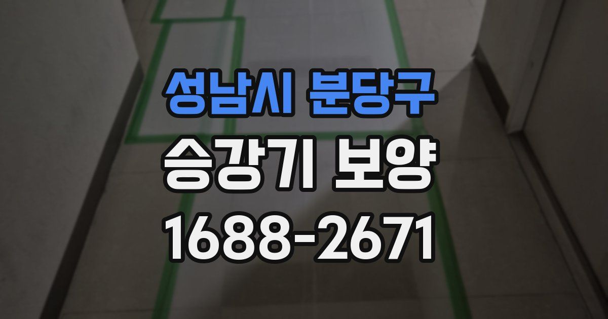 성남시 분당구 승강기 보양