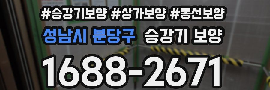 성남시 분당구 승강기 보양