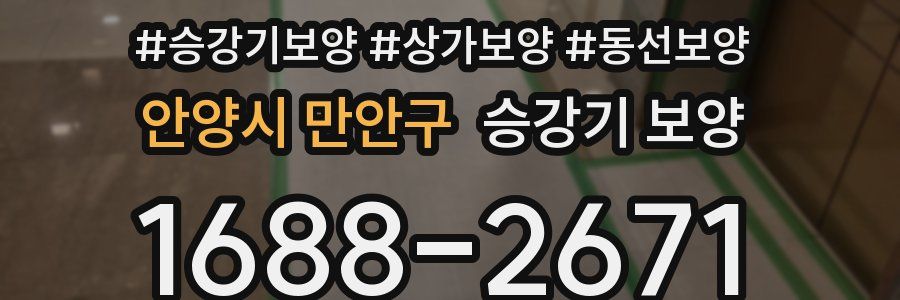 안양시 만안구 승강기 보양