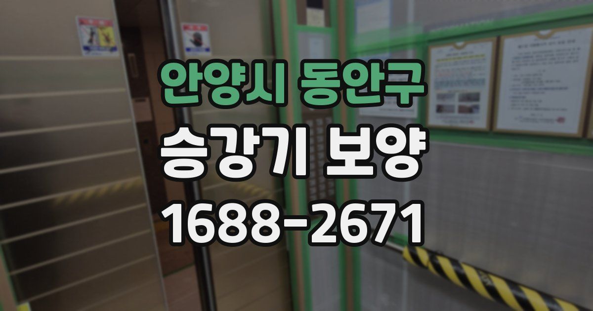 안양시 동안구 승강기 보양