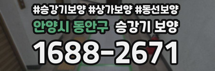 안양시 동안구 승강기 보양