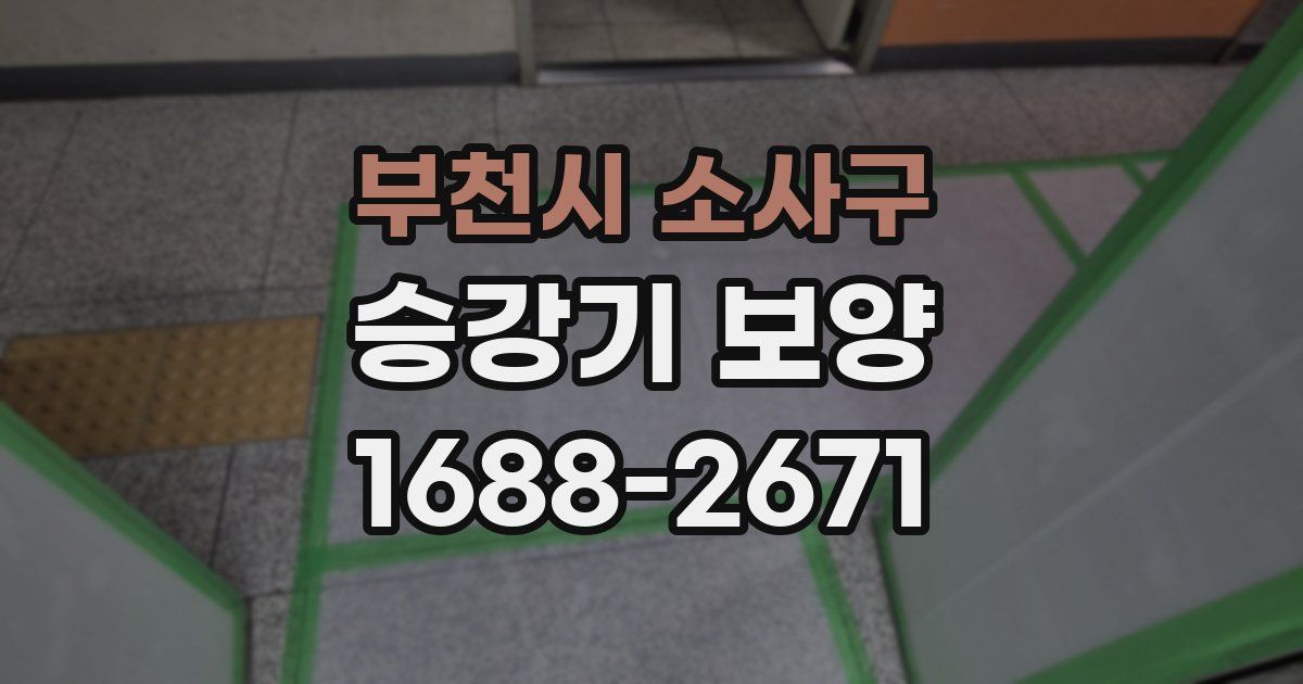 부천시 소사구 승강기 보양