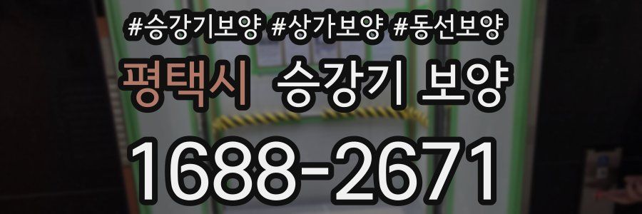 평택시 승강기 보양