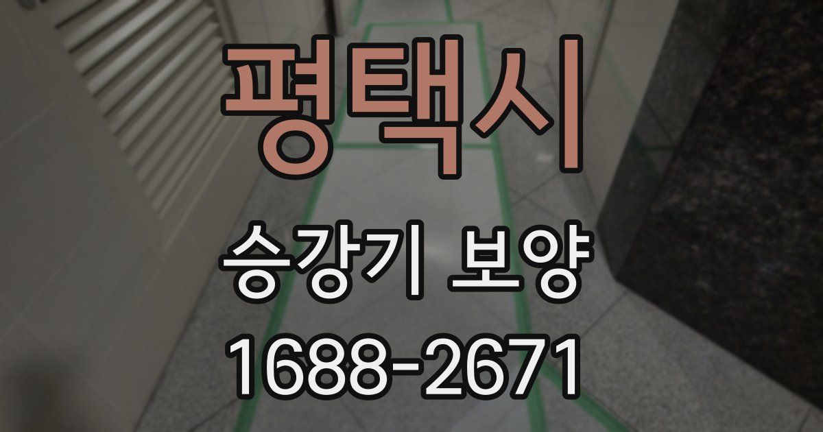 평택시 승강기 보양