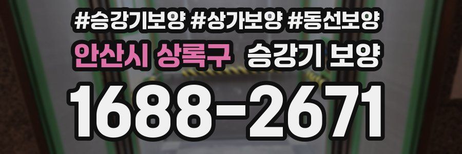 안산시 상록구 승강기 보양