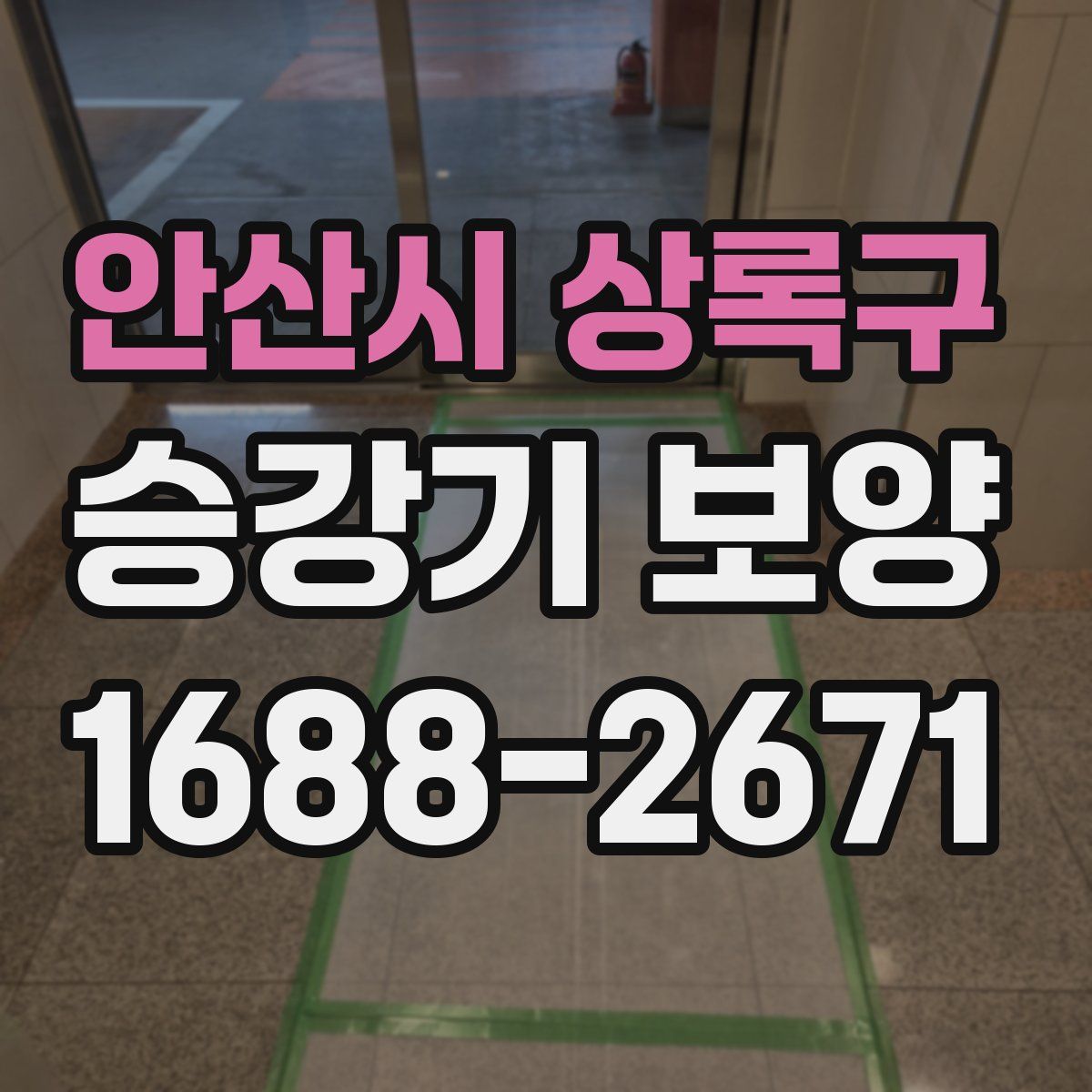 안산시 상록구 승강기 보양