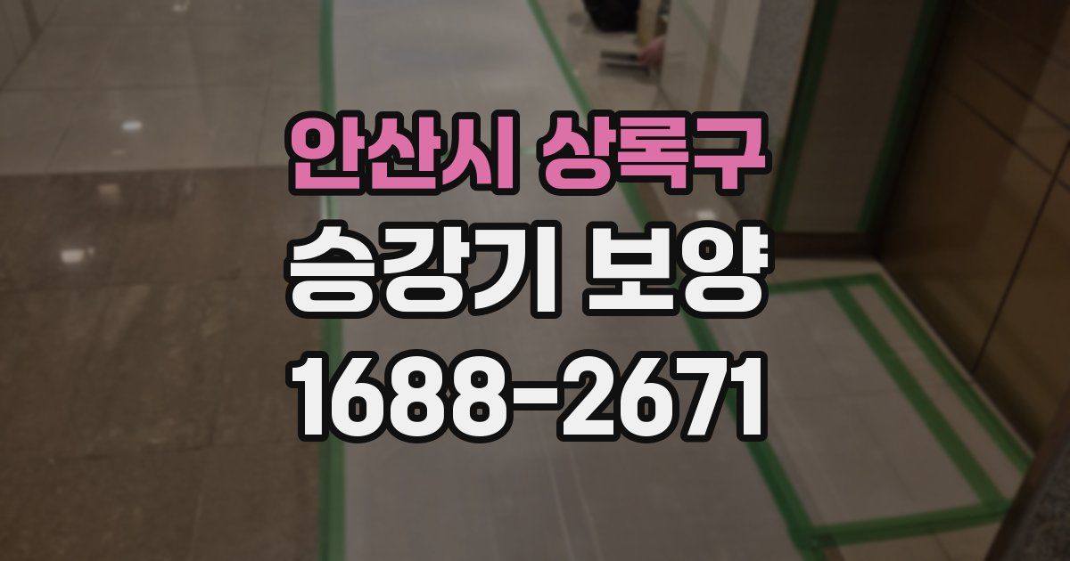 안산시 상록구 승강기 보양