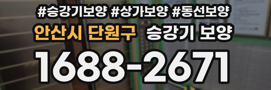 안산시 단원구 승강기 보양
