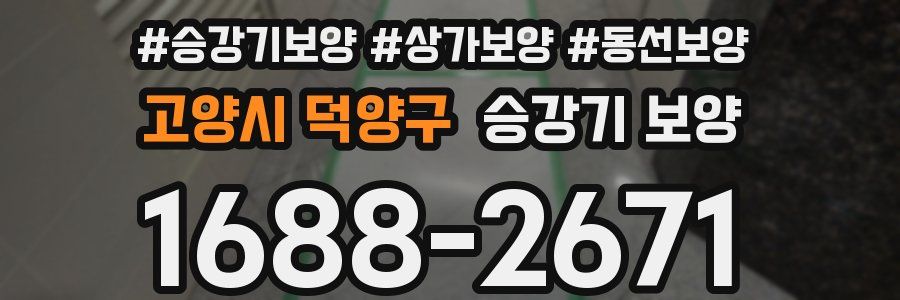 고양시 덕양구 승강기 보양