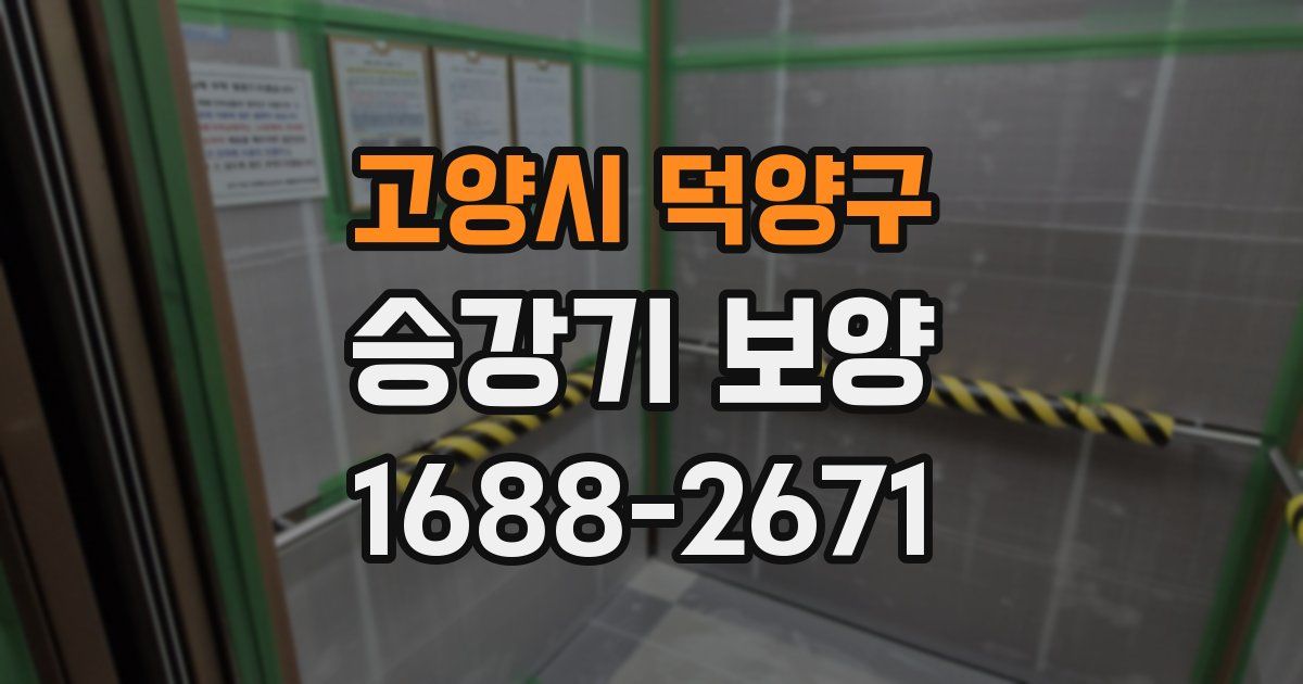고양시 덕양구 승강기 보양