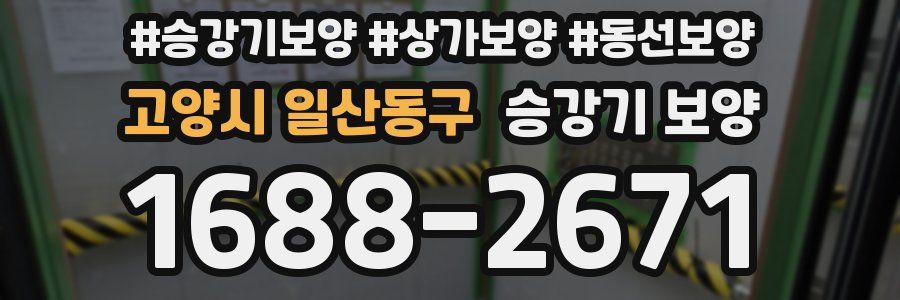 고양시 일산동구 승강기 보양