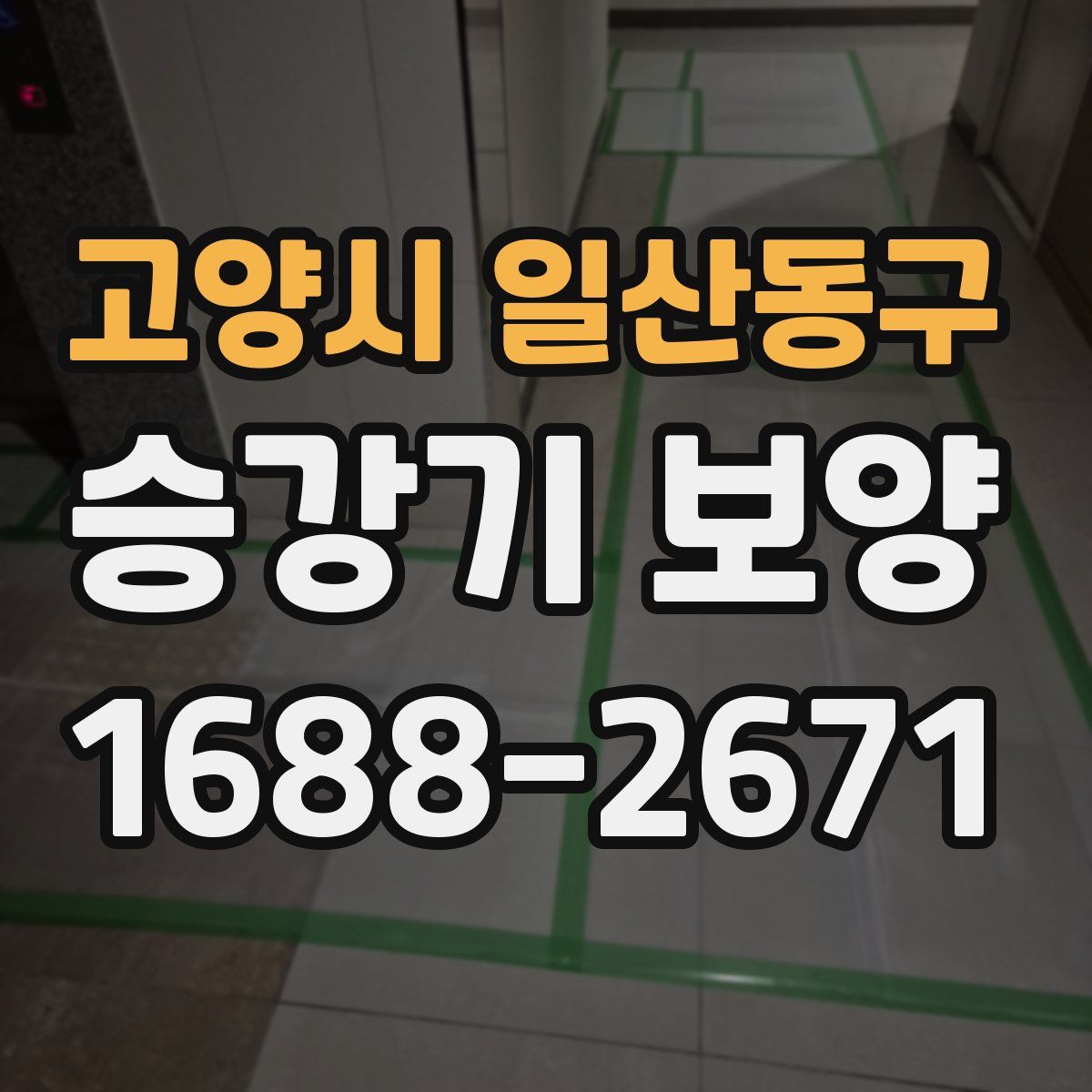 고양시 일산동구 승강기 보양
