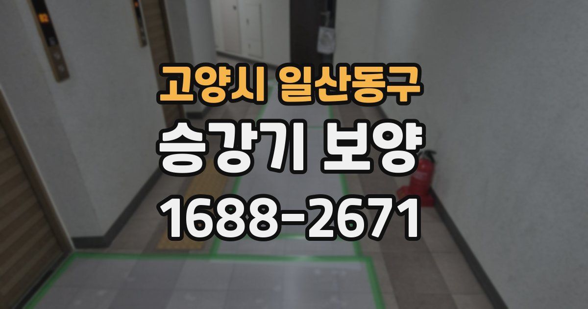고양시 일산동구 승강기 보양