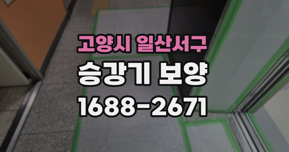 고양시 일산서구 승강기 보양