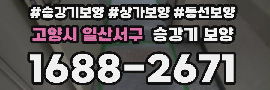 고양시 일산서구 승강기 보양