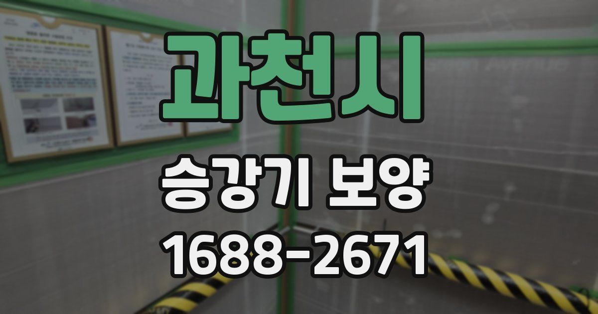 과천시 승강기 보양