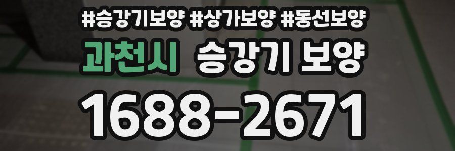 과천시 승강기 보양
