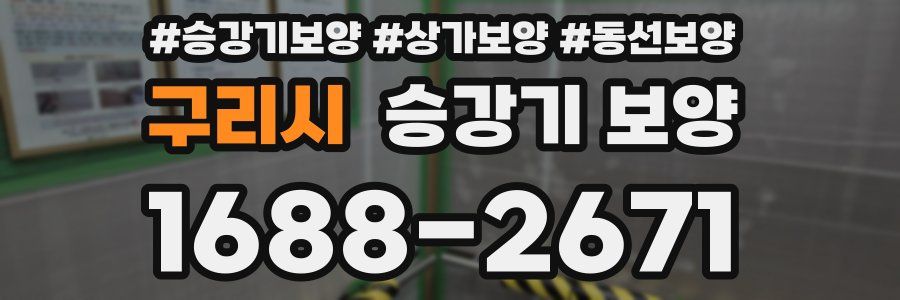 구리시 승강기 보양