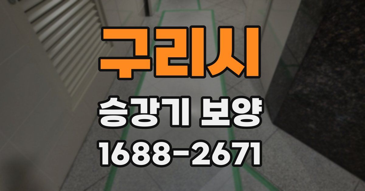 구리시 승강기 보양