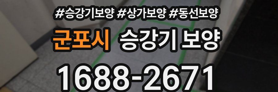 군포시 승강기 보양