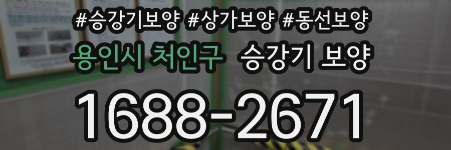 용인시 처인구 승강기 보양