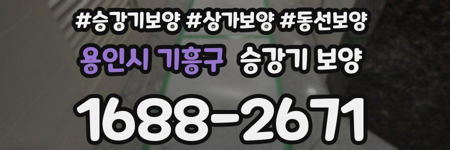 용인시 기흥구 승강기 보양