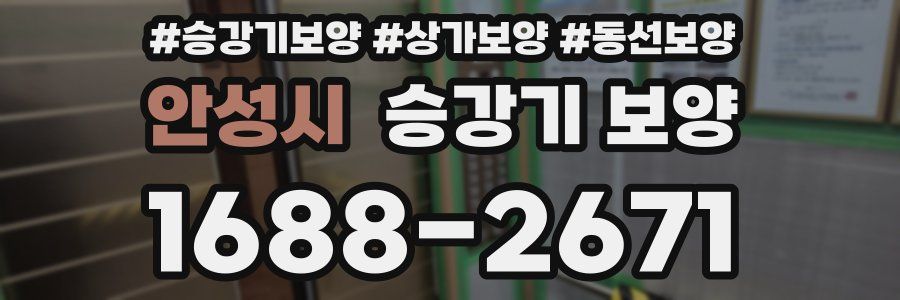 안성시 승강기 보양