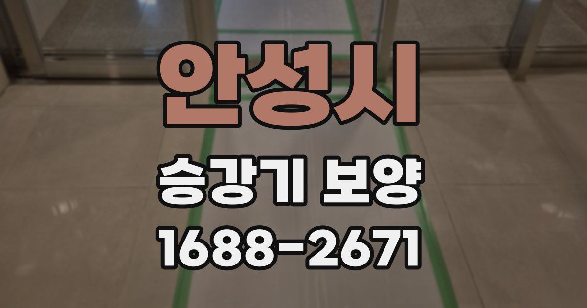 안성시 승강기 보양